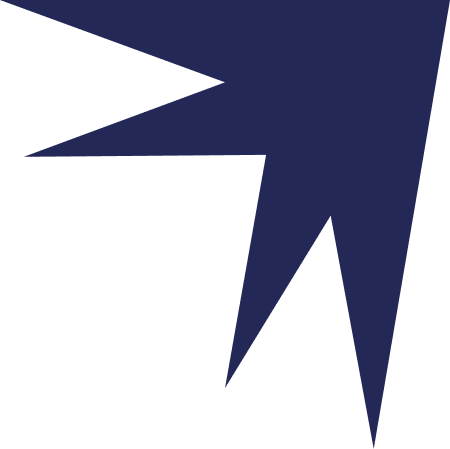 BigDataCorp logo